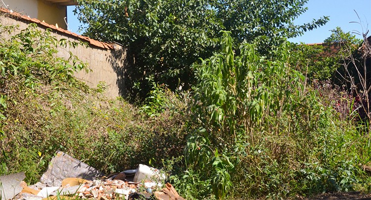 Vigilância notifica proprietários de terrenos