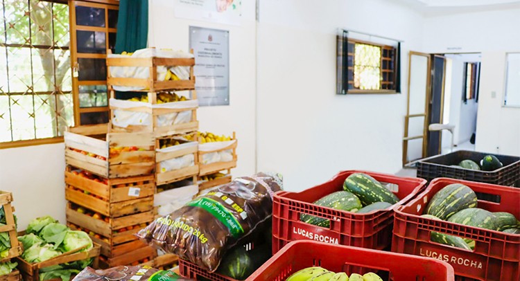 Conselho de Segurança Alimentar prepara eleição de novos membros