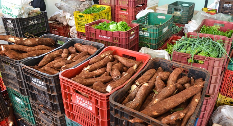 Prefeitura distribui mais de 59 toneladas neste ano