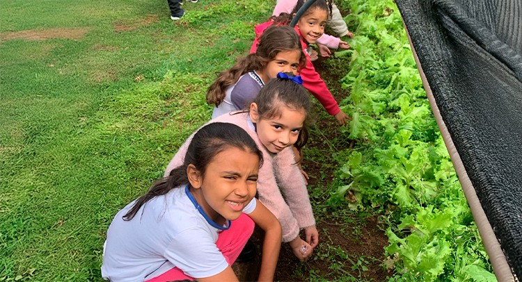Projeto da Educação incentiva empreendedorismo e cuidados com a natureza