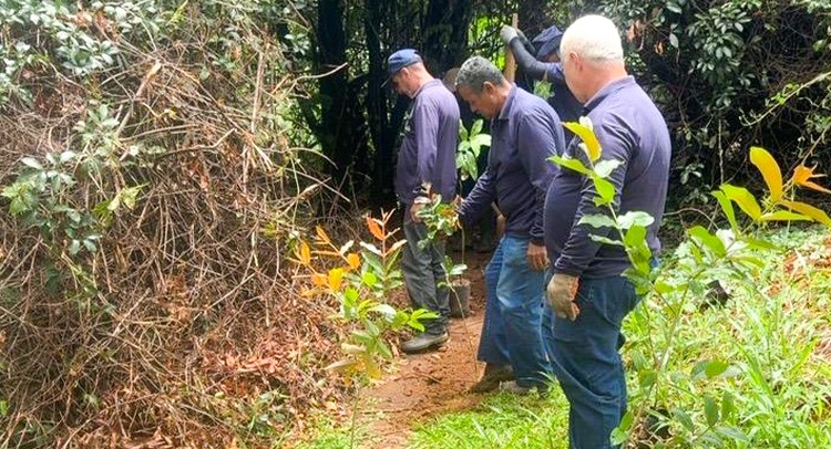 Meio Ambiente amplia plantios no Parque dos Trabalhadores