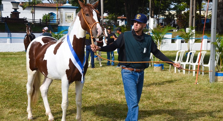 Expoagro segue com julgamentos e provas equestres no fim de semana