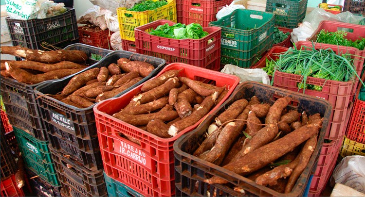 Banco de Alimentos abre inscrições para curso gratuito de panificação