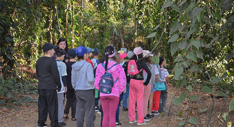 Educação Ambiental faz campanha sobre queimadas no Zoobotânico