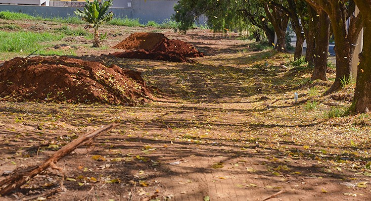 Parque dos Lima recebe ‘Calçada Segura’