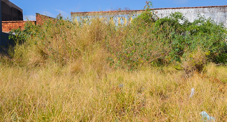 Vigilância emite novas notificações para limpeza de terrenos