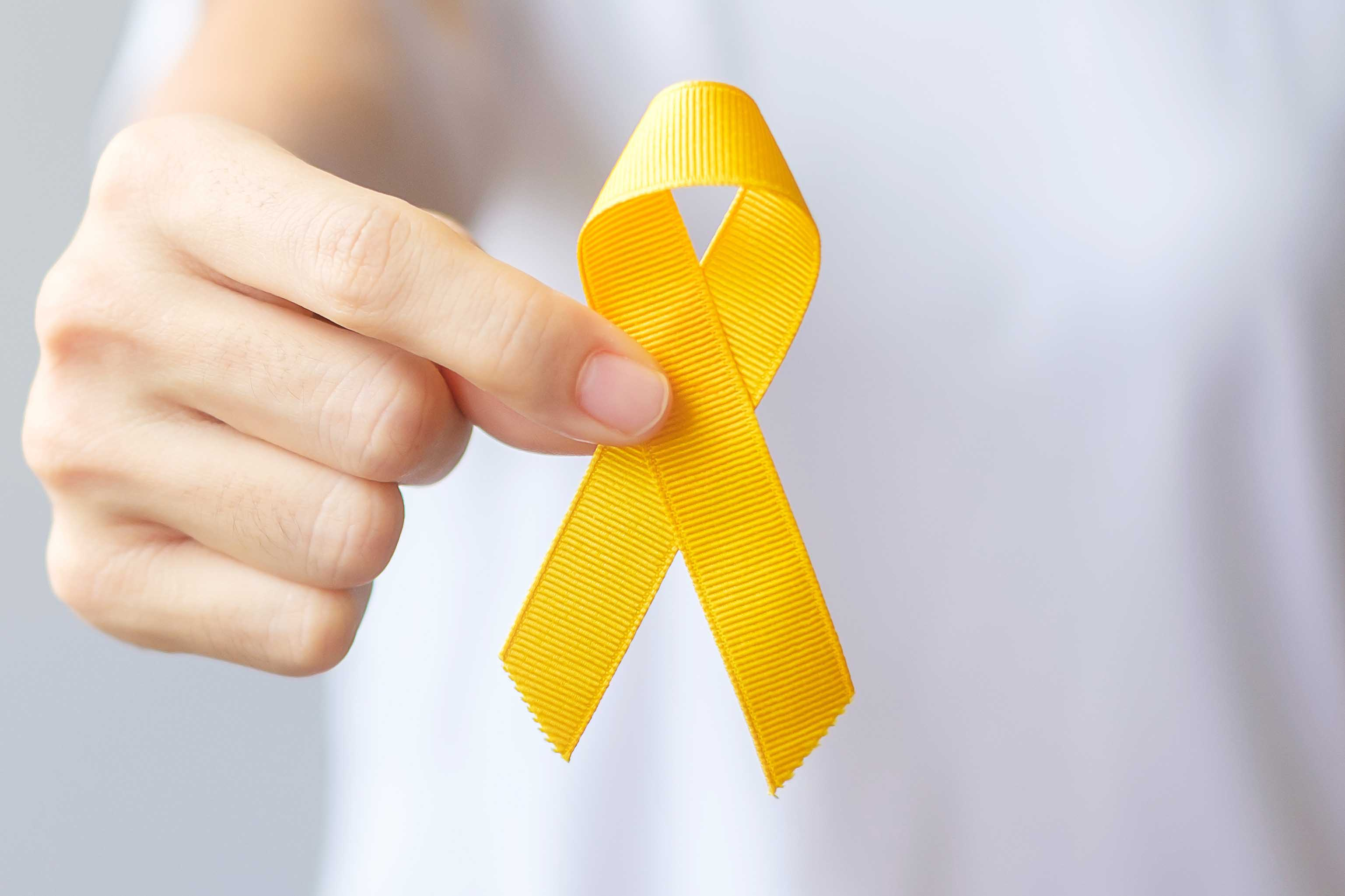 Educação inicia Campanha Maio Amarelo – No trânsito, escolha a vida
