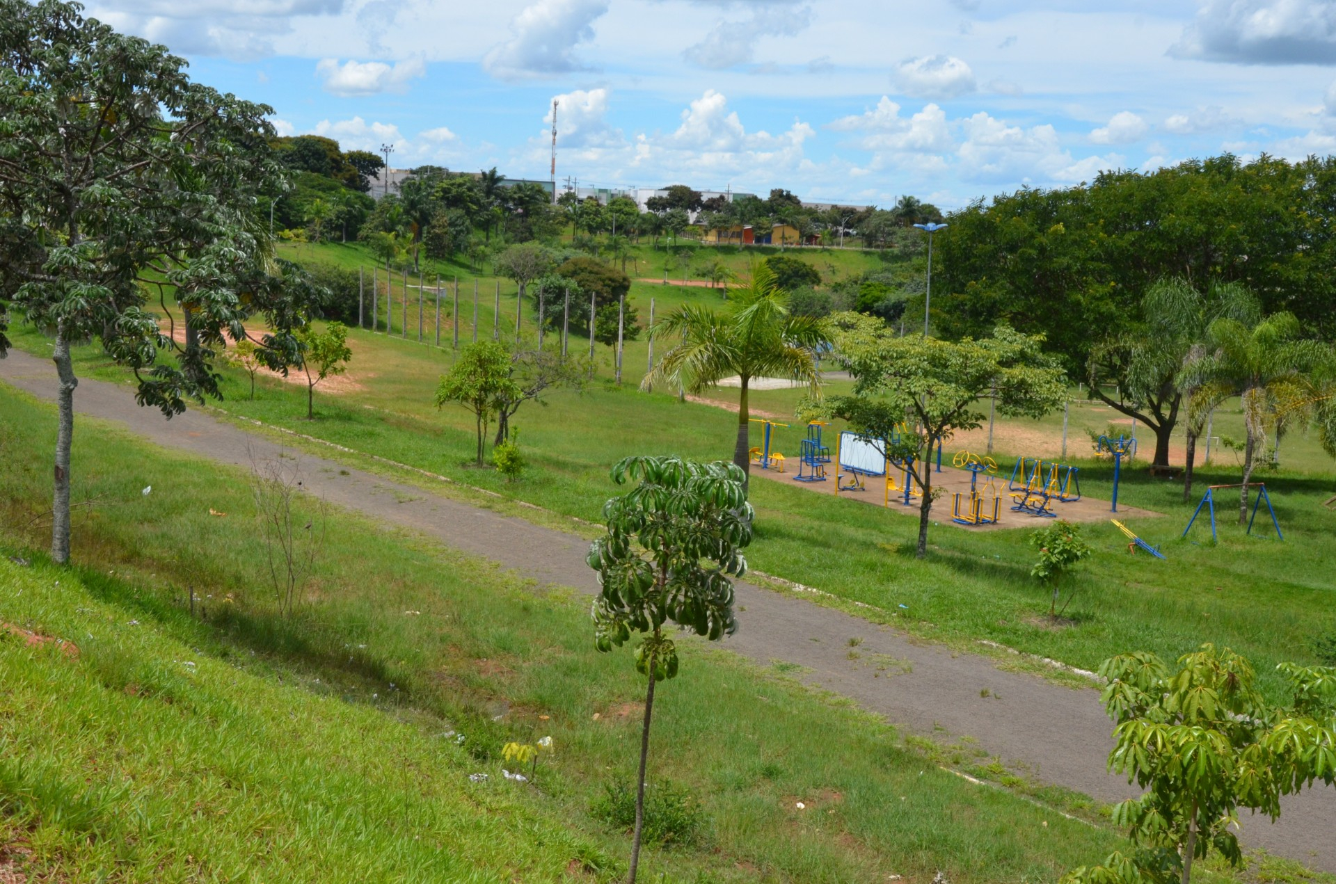 Parque Ambiental do Paulistano passa por revitalização