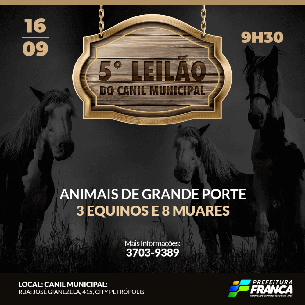 5° Leilão de Animais acontece nesta quinta-feira
