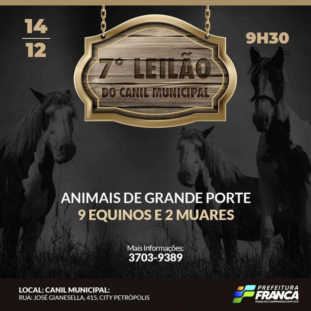 7° Leilão de Animais acontece nesta terça-feira