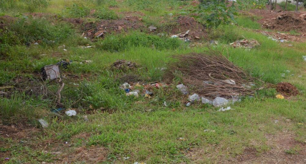 Vigilância Ambiental intima proprietários de terrenos sujos