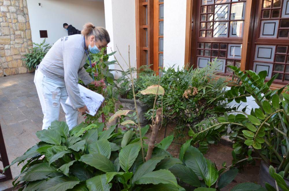 Vigilância Ambiental prepara Índice de Densidade Larvária