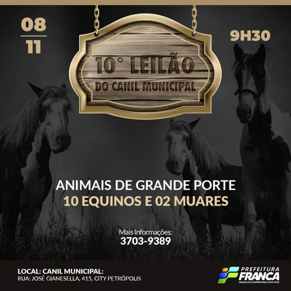 Canil Municipal realiza leilão com 12 animais
