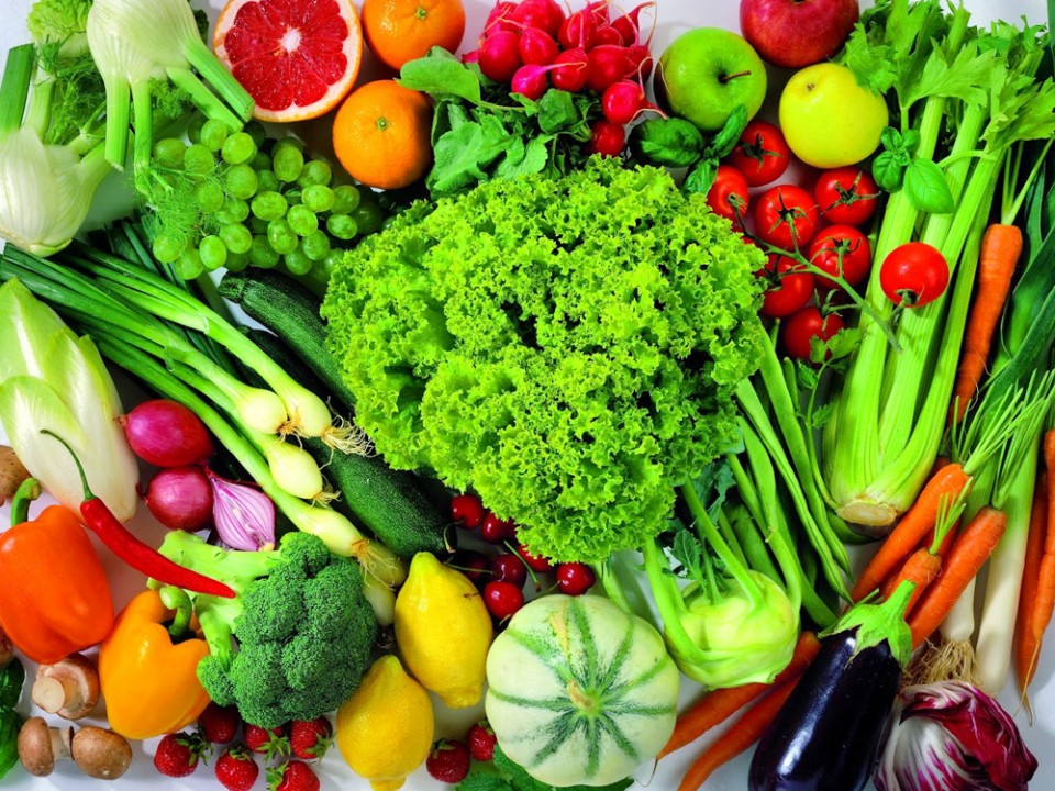 Franca realiza Conferência Municipal de Segurança Alimentar e Nutricional