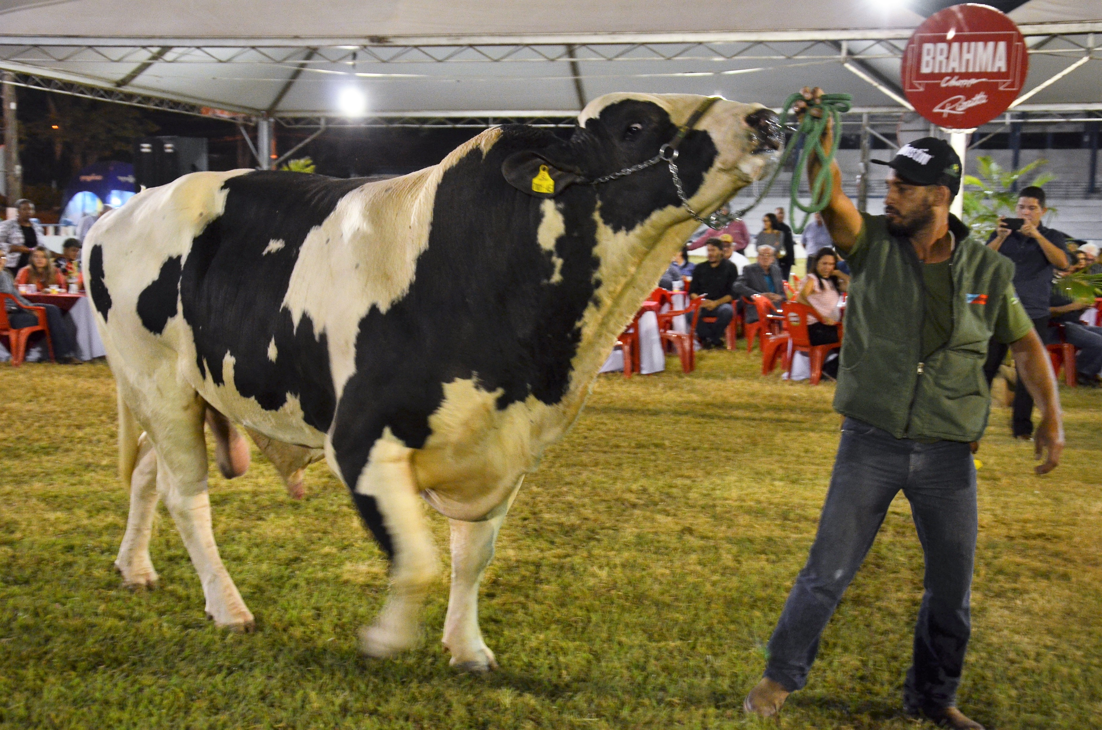 Propostas para shows da Expoagro devem ser apresentadas até quinta