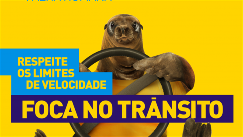 Franca adere ao Maio Amarelo, campanha de trânsito para redução de acidentes