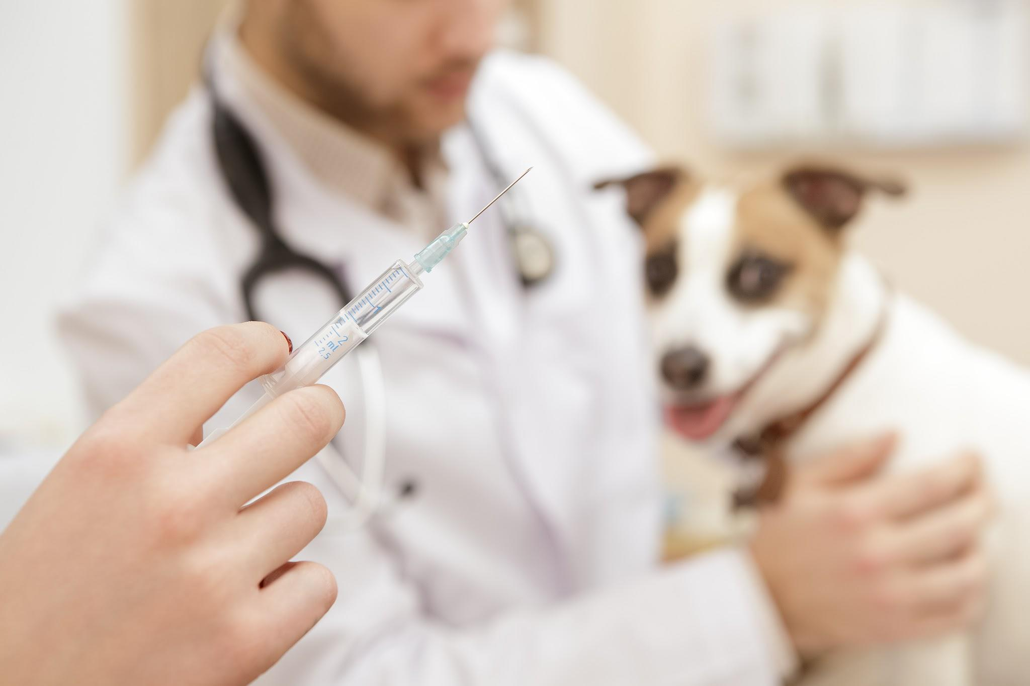 Campanha de Vacinação contra a raiva é adiada