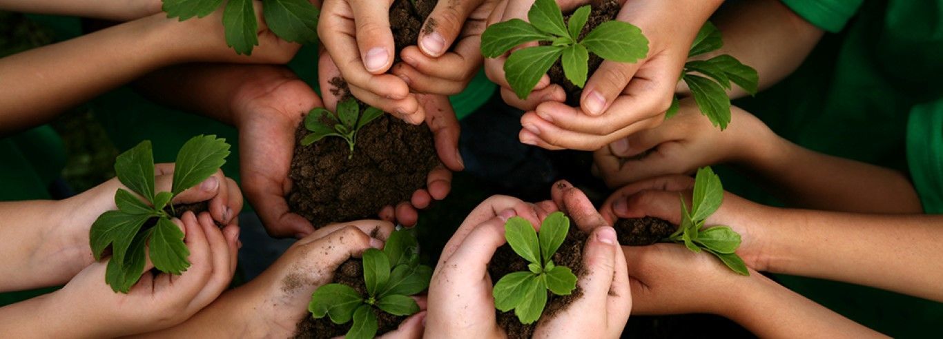 Mais de 7,8 mil participam da Educação Ambiental