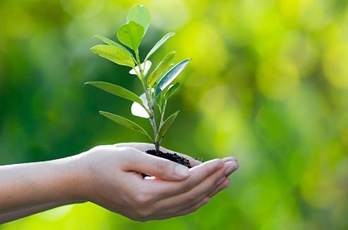 Semana Ambiental começa segunda-feira